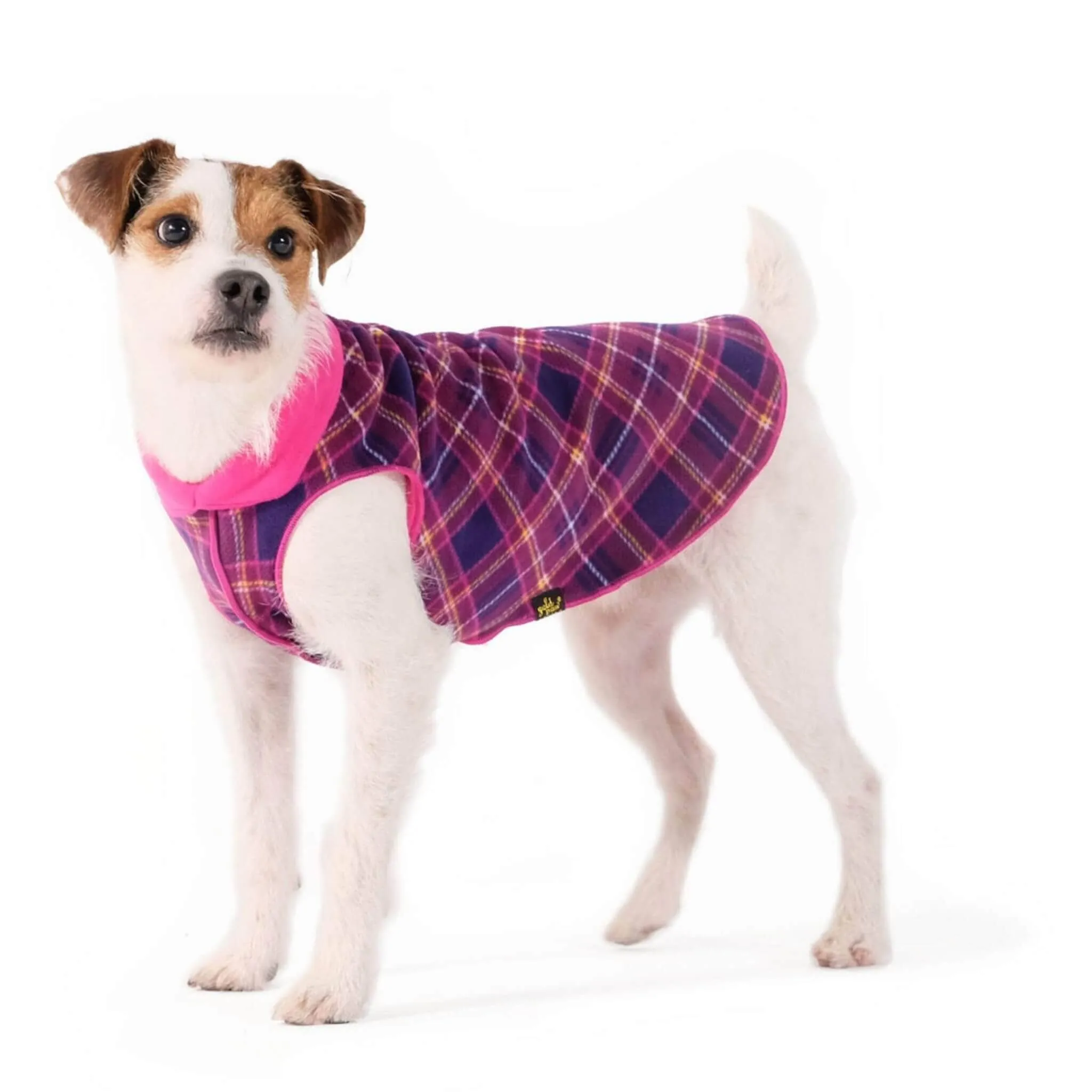 Gold Paw Series Duluth Double Fleece for Dogs