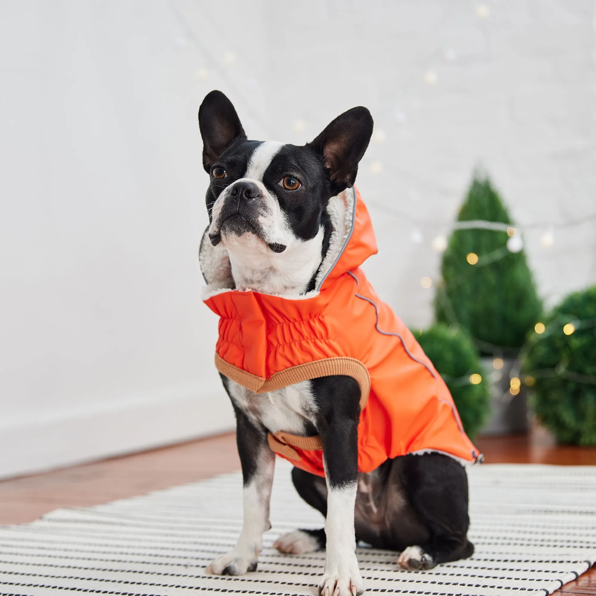 Insulated Dog Raincoat - Orange