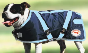 Thermo Master Supreme Dog Coat - Navy/Baby Blue