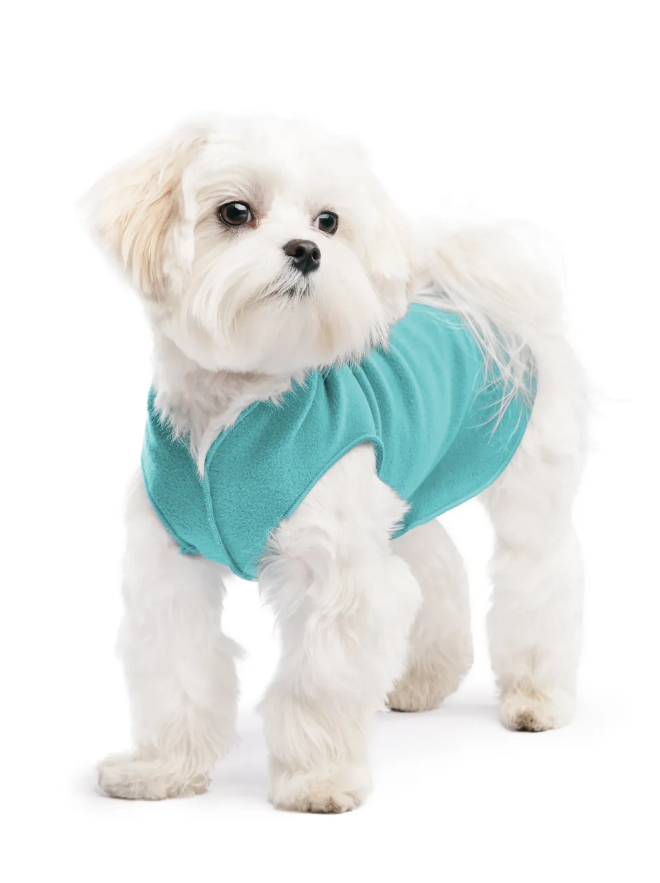 turquoise stretch fleece - small sizes